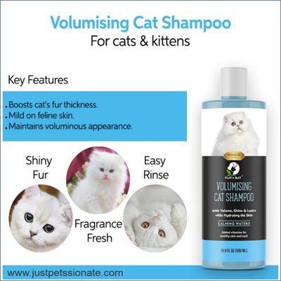 Fluff'n Buff Volumising Cat Shampoo